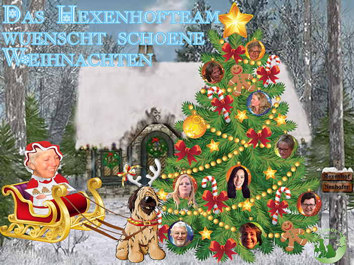 Das Hexenhof-Team wünscht Euch wunderschöne Weihnachten und einen guten Start ins Neue Jahr
