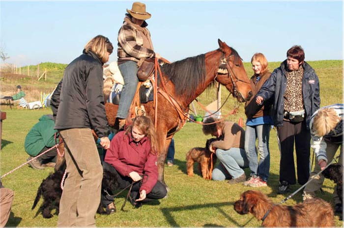 Susi Wüster besucht mit ihrem Pferd Pedro unsere verschiedenen Hundegruppen